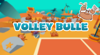 Cover image for Volley Bulle