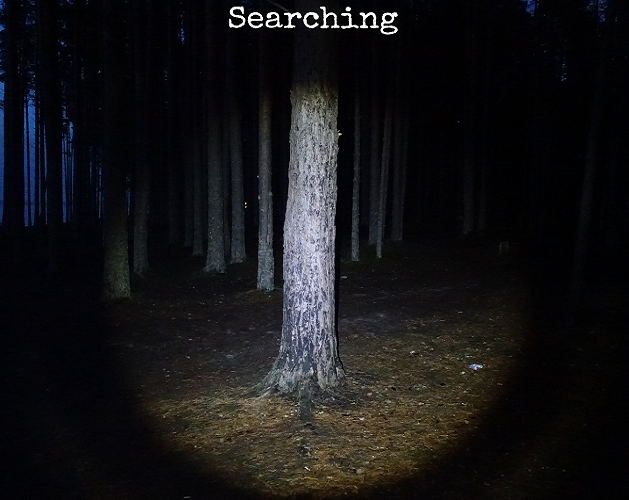 Cover image for Searching
