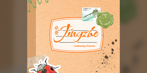 Cover image for Jingzhe: Awakening of Insects // An Arthropod Speedrun Zine