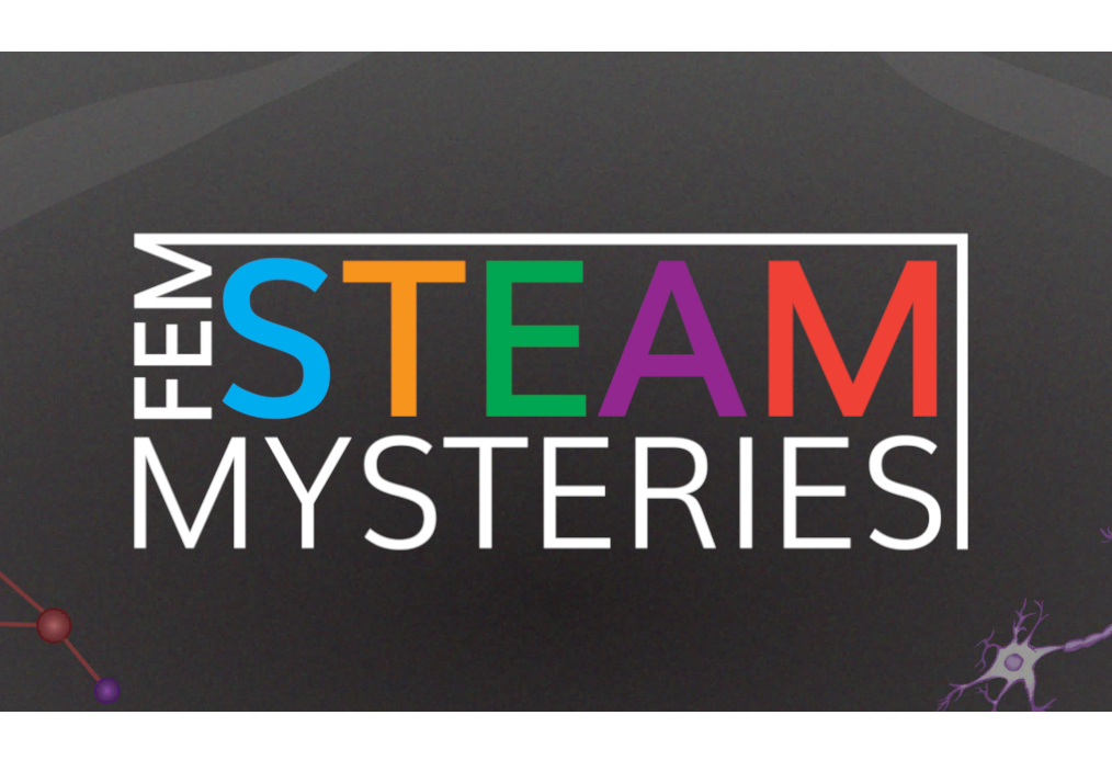 femSTEAM Mysteries