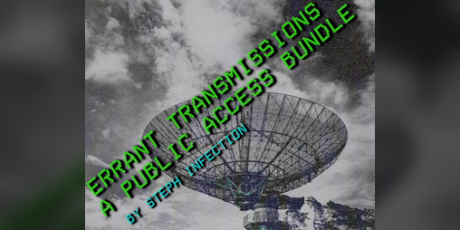 Cover image for Errant Transmissions