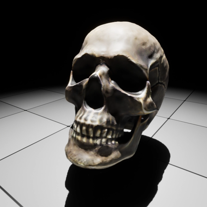 Realistic Human Skull By Mythcpenguin