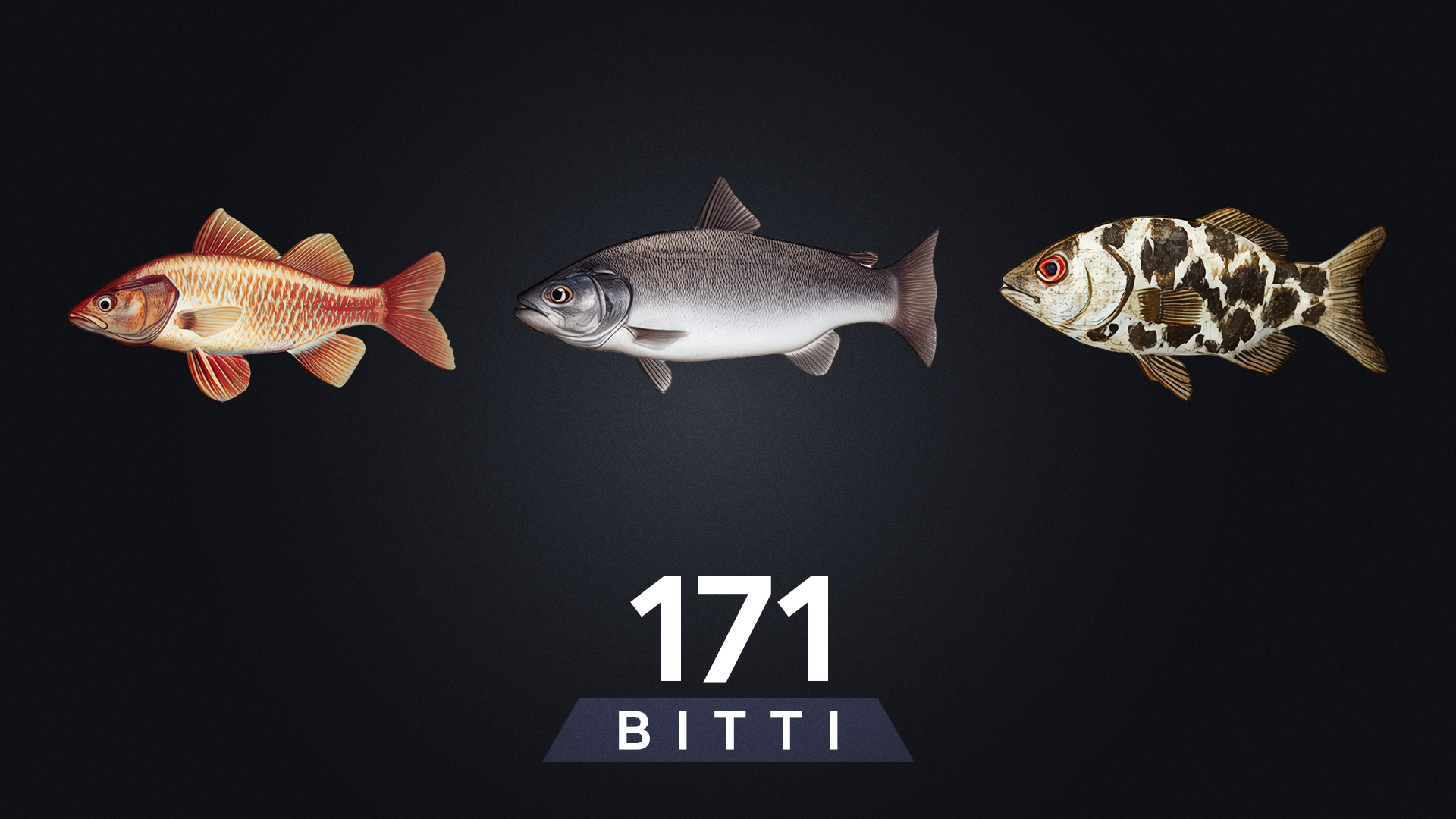BITTI - Fish 171