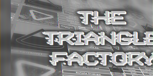 Cover image for The Triangle Factory