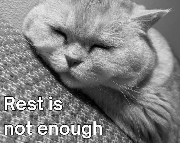 Cover image for Rest is not enough