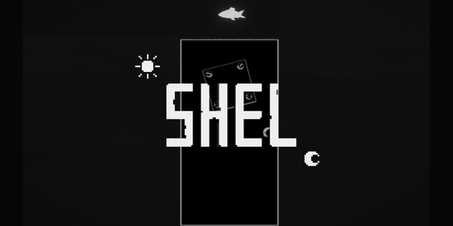 Cover image for SHEL