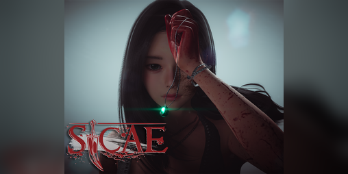 Cover image for Sicae