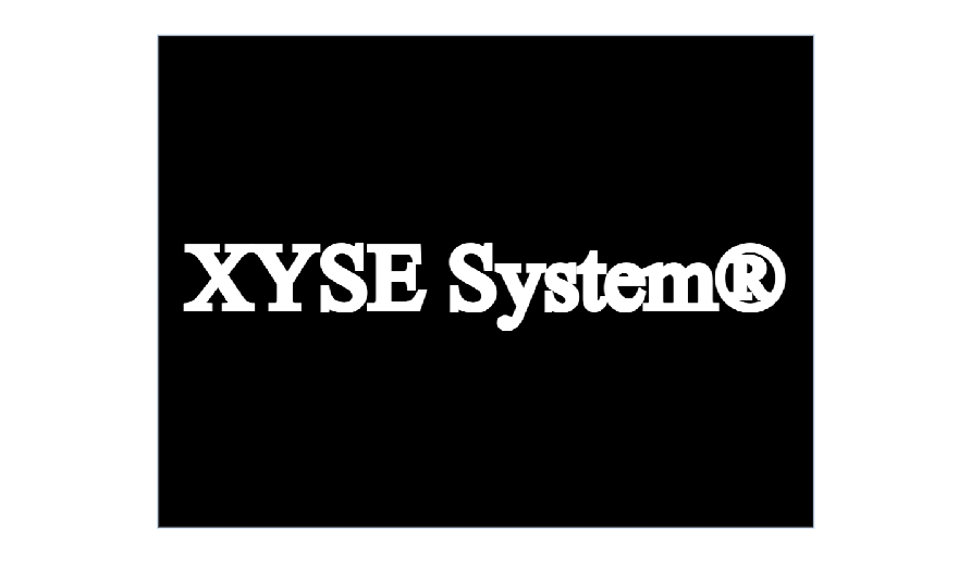 XYSE System® (VERY VERY EARLYBUILD)