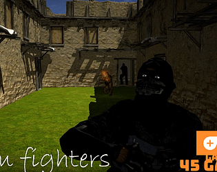 team fighters