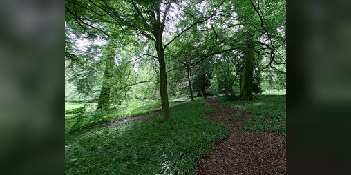 Cover image for Greem