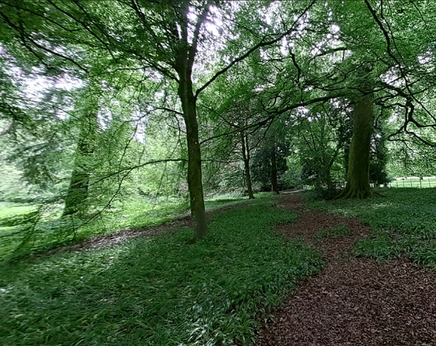 Cover image for Greem