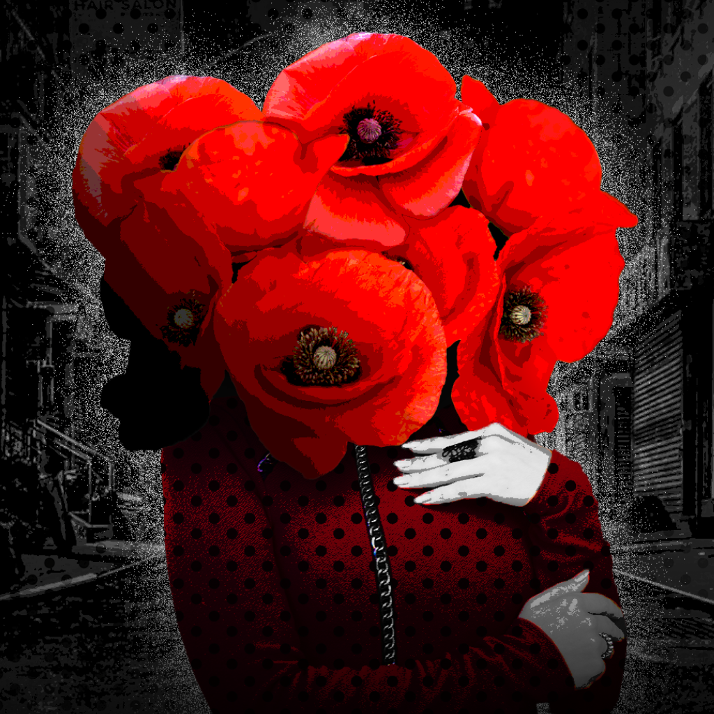 Cover image for A Study in Gray