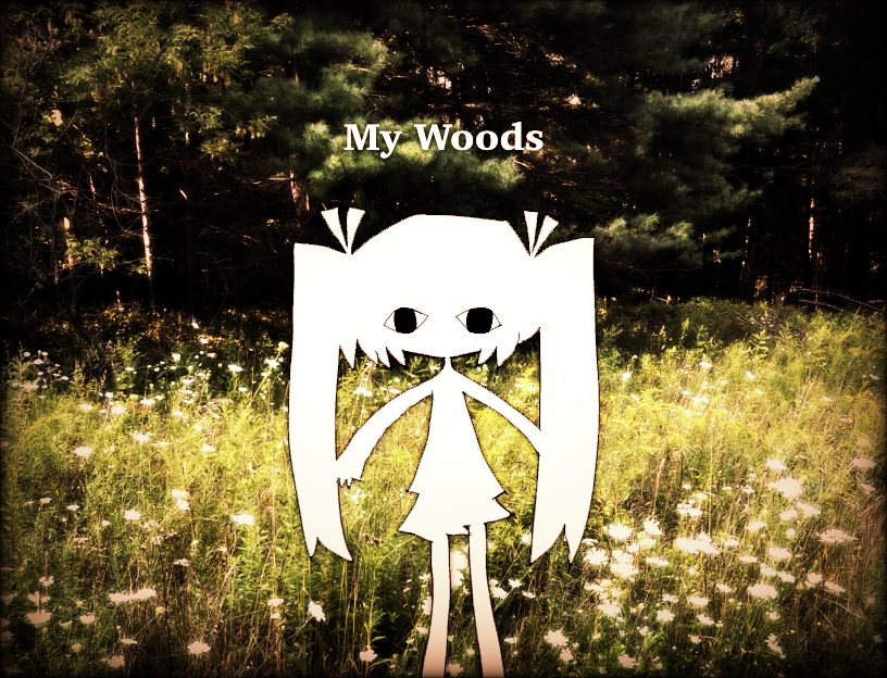 Cover image for My Woods