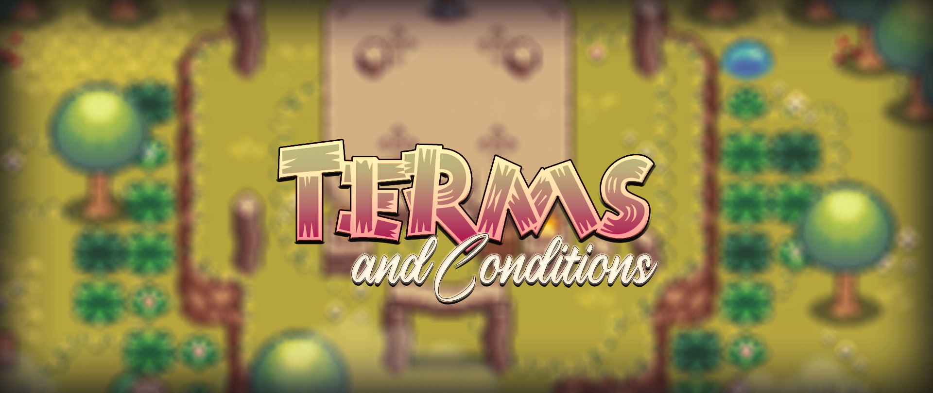 Terms & Conditions