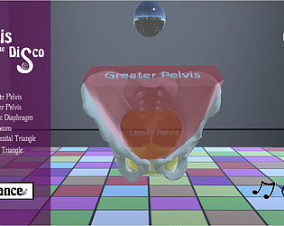Pelvis at the Disco