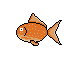 Cover image for Fishy Pet