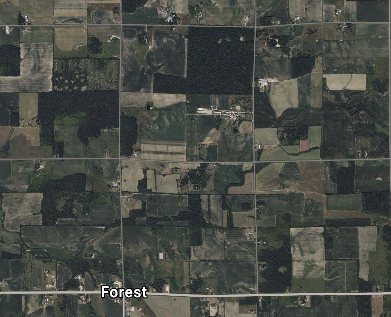 Cover image for Fs25 Forest Wisconsin