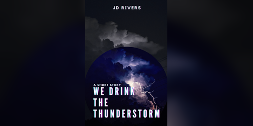 Cover image for We drink the thunderstorm