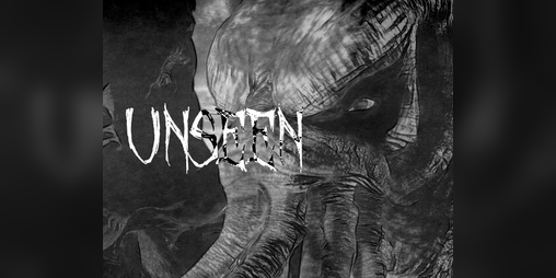 Cover image for Unseen