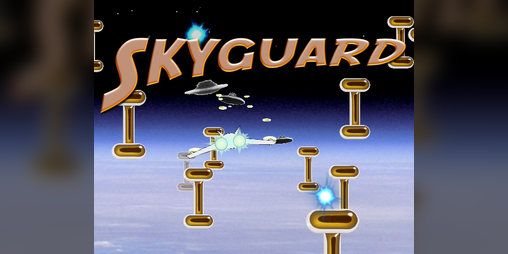 Cover image for Skyguard