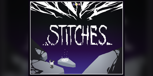 Cover image for Stitches