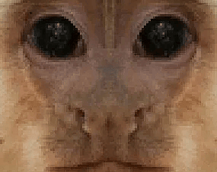 APE RUNNERS