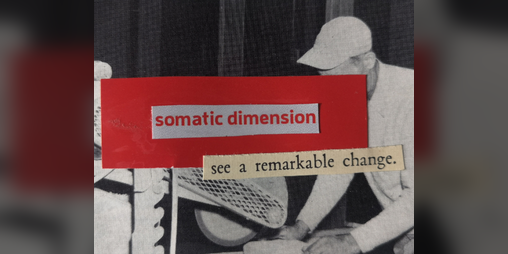 Cover image for Somatic Dimension