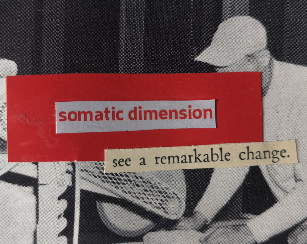 Cover image for Somatic Dimension