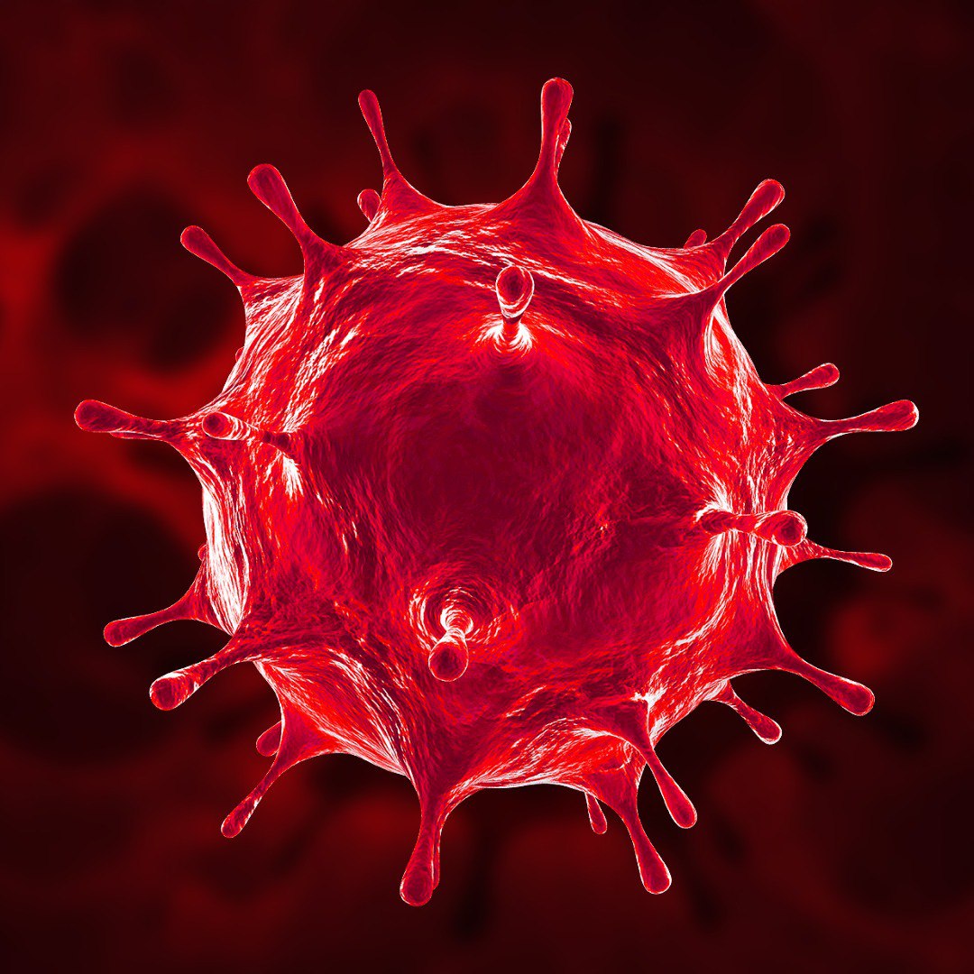 Cover image for Sissy Virus 2.0