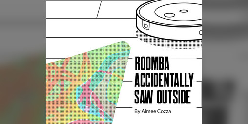 Cover image for Roomba Accidentally Saw Outside