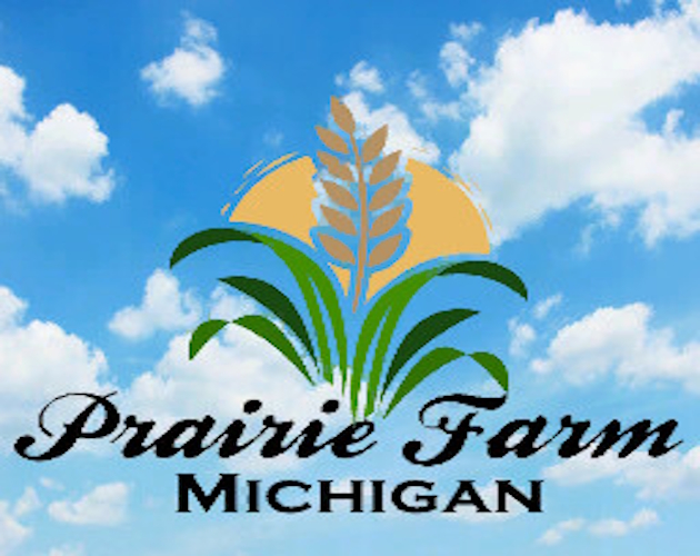 Cover image for Prairie Farm Michigan FS25