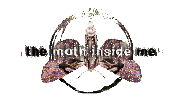 the moth inside me