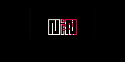 Cover image for NIN