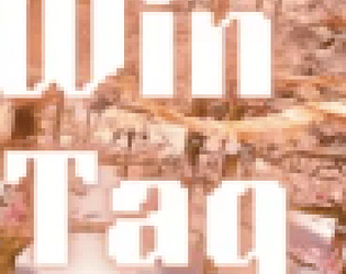 win tag nr 2024
