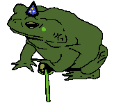 SAGEFROG