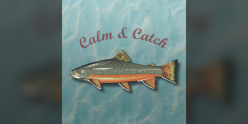 Cover image for Calm & Catch