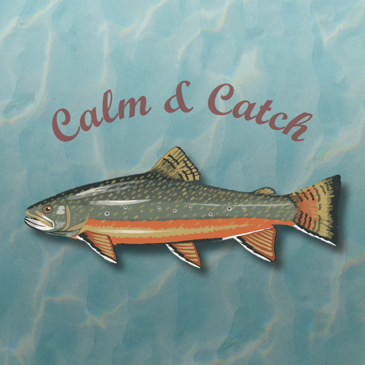 Cover image for Calm & Catch