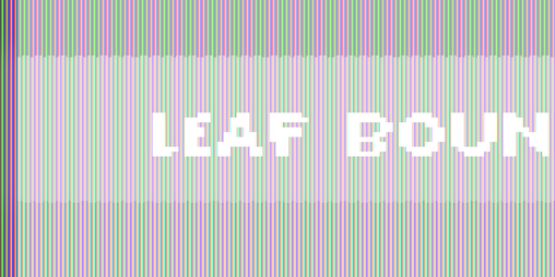 Cover image for Leaf Bound