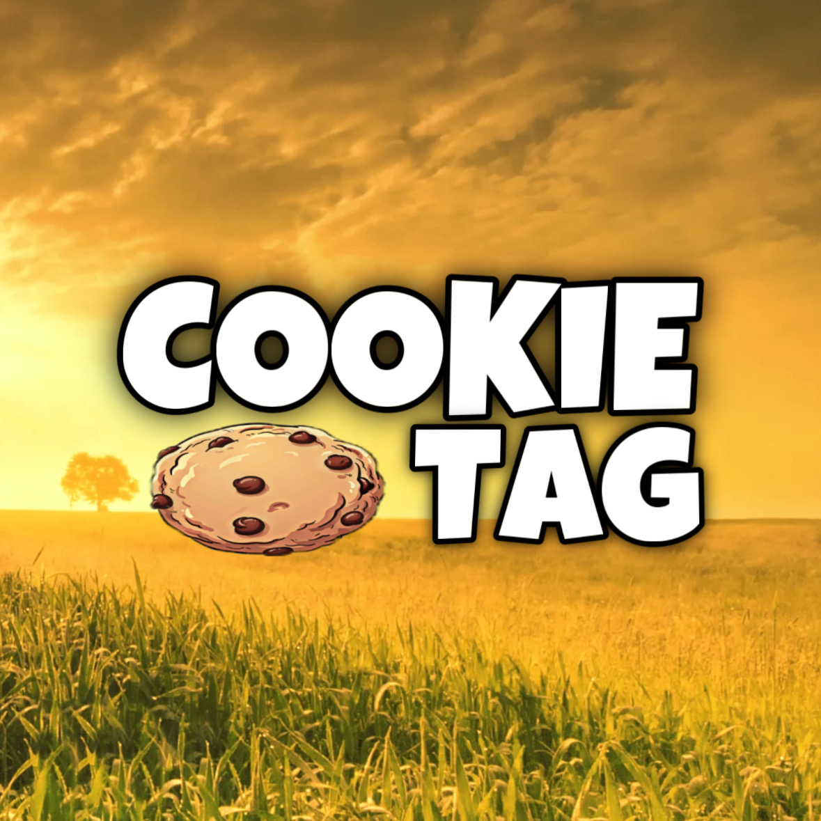 cookie tag (UPDATE)