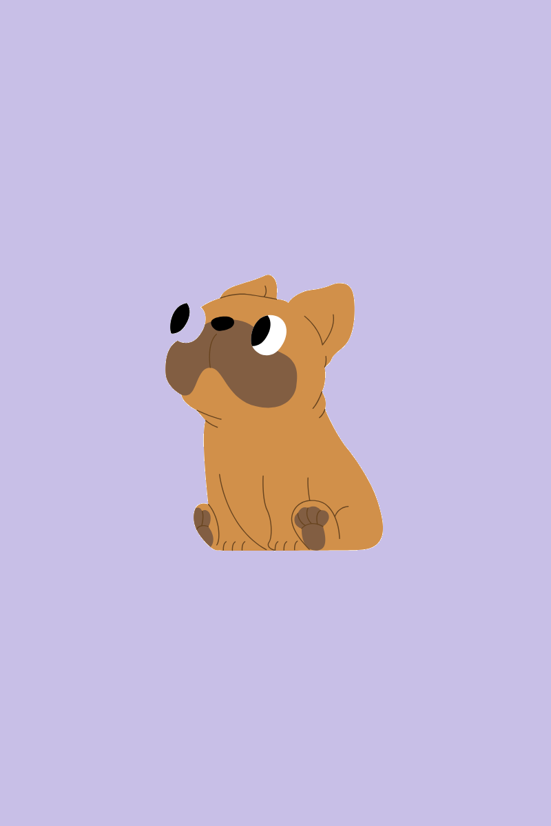 BULLDOG BONE