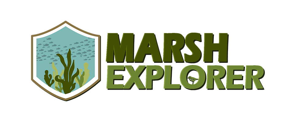 Marsh Explorer