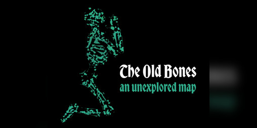 Cover image for The Old Bones