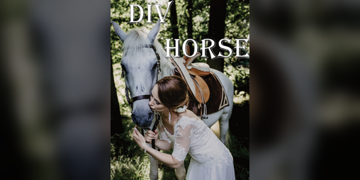 Cover image for Div Horse