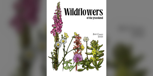 Cover image for Wildflowers of the Grassland