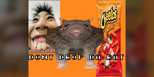 Cover image for dont drop da rat