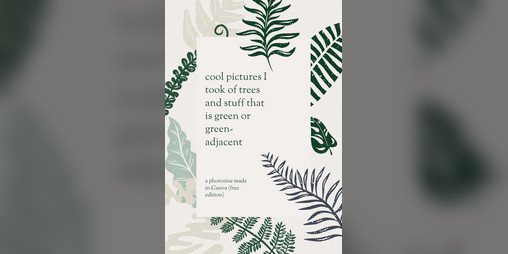 Cover image for nature photozine