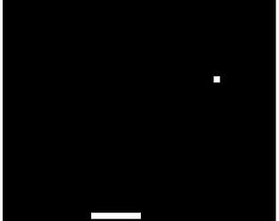 Pong Survival