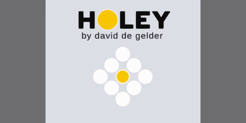 Cover image for Holey
