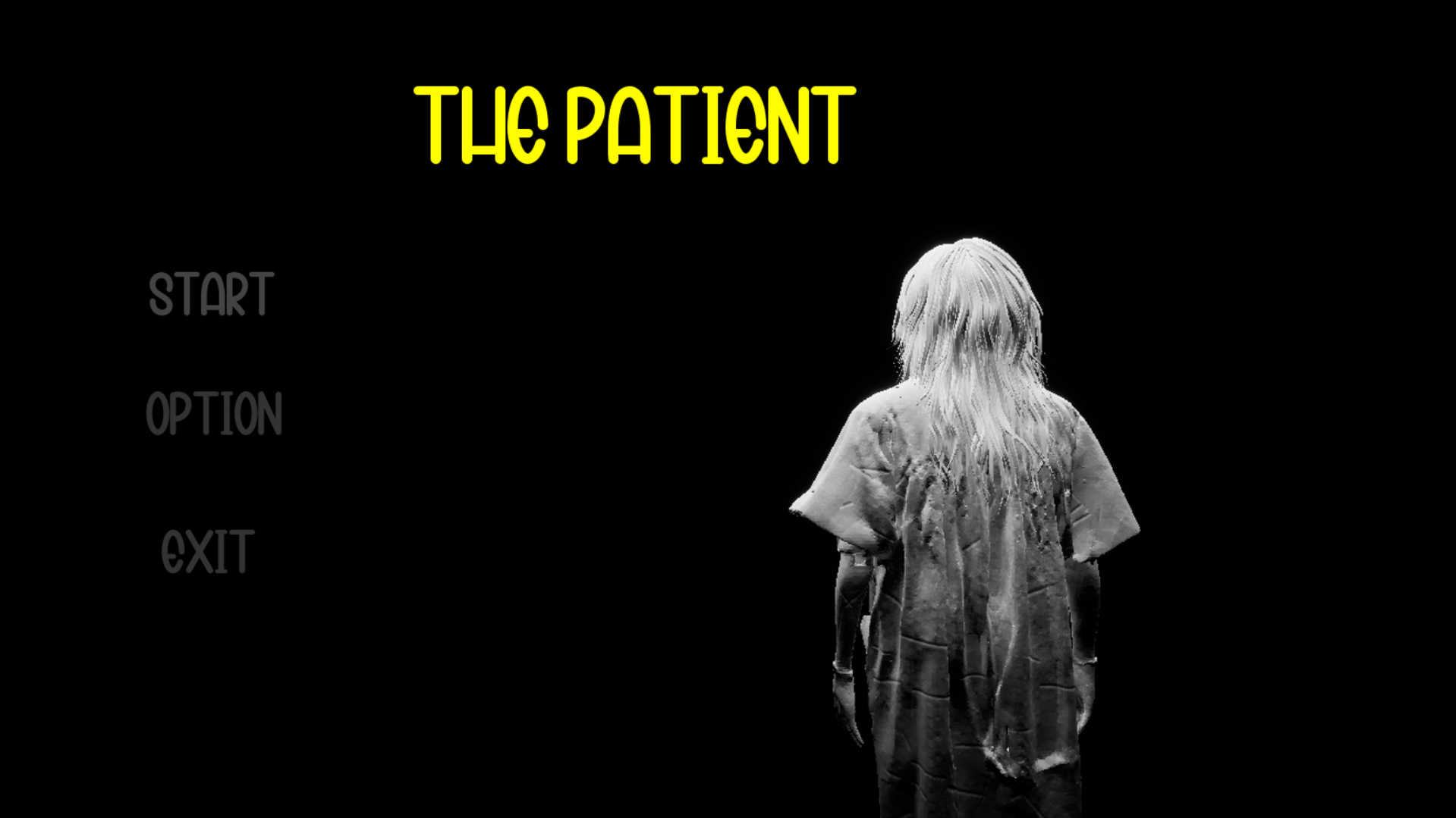 The Patient cover