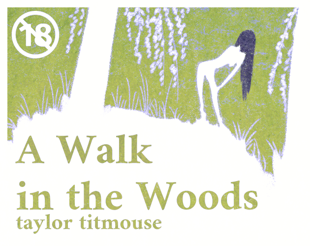 Cover image for A Walk in the Woods
